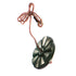 Heavy Duty Garden Zip Wire Kit – Suitable for Adults!